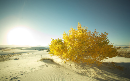 648699 (a): :2560x1600